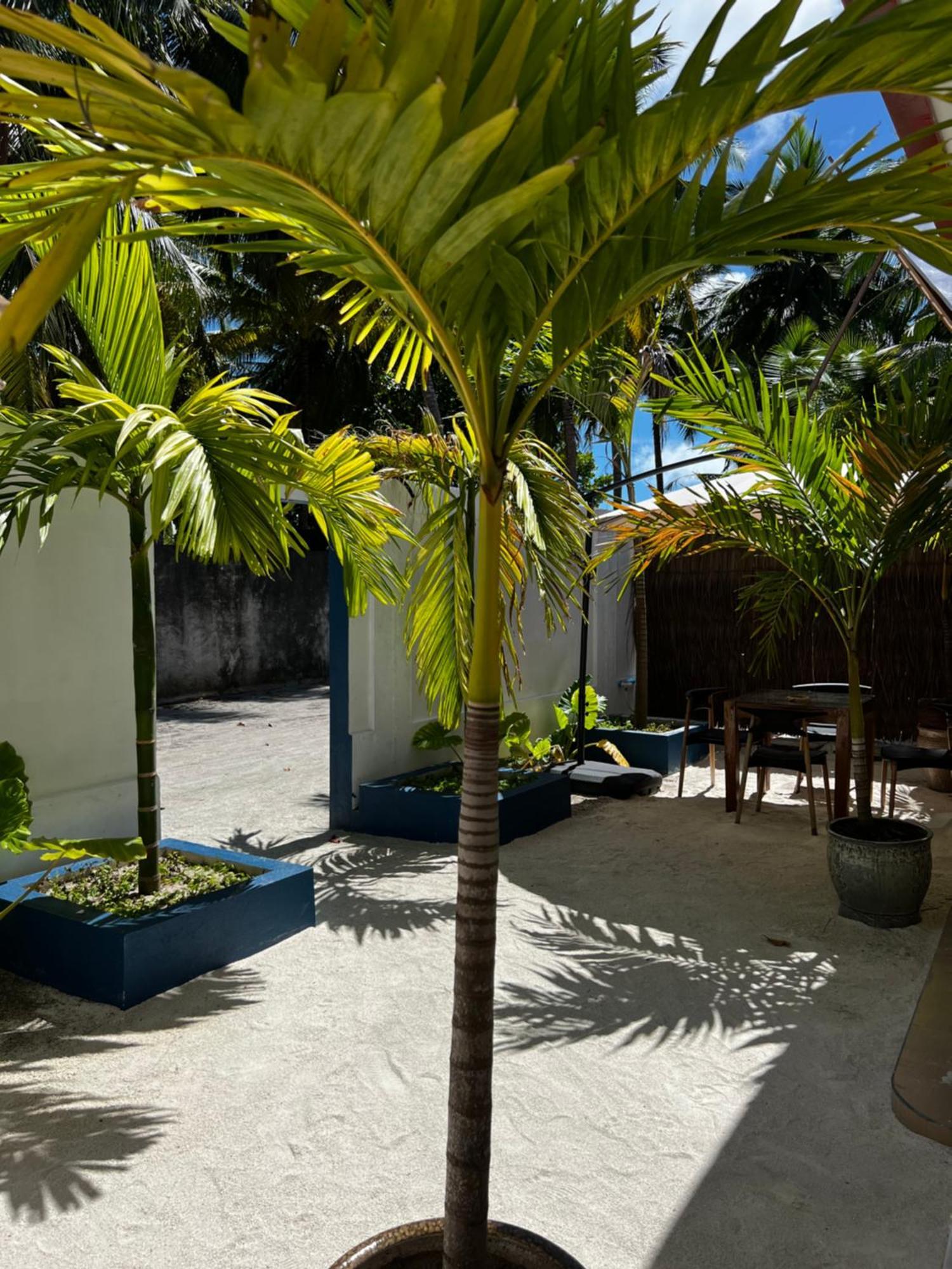 Captal Beach Villa Мативери Екстериор снимка